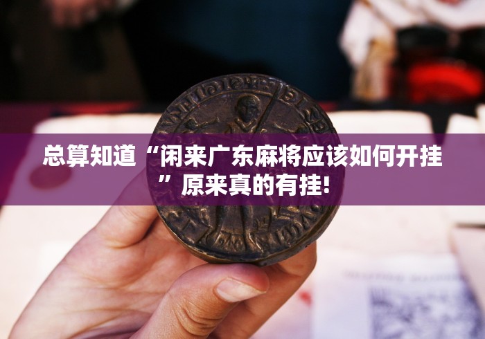 总算知道“闲来广东麻将应该如何开挂”原来真的有挂!