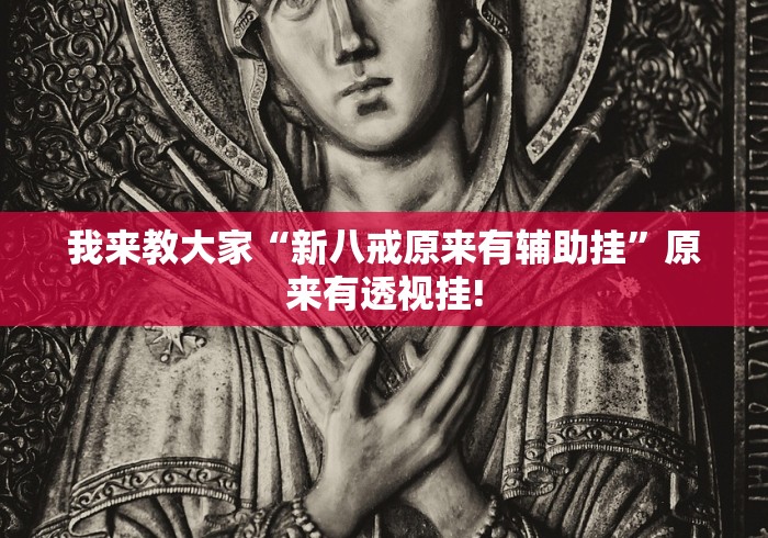 我来教大家“新八戒原来有辅助挂”原来有透视挂!