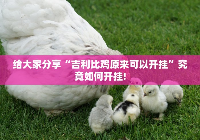 给大家分享“吉利比鸡原来可以开挂”究竟如何开挂!