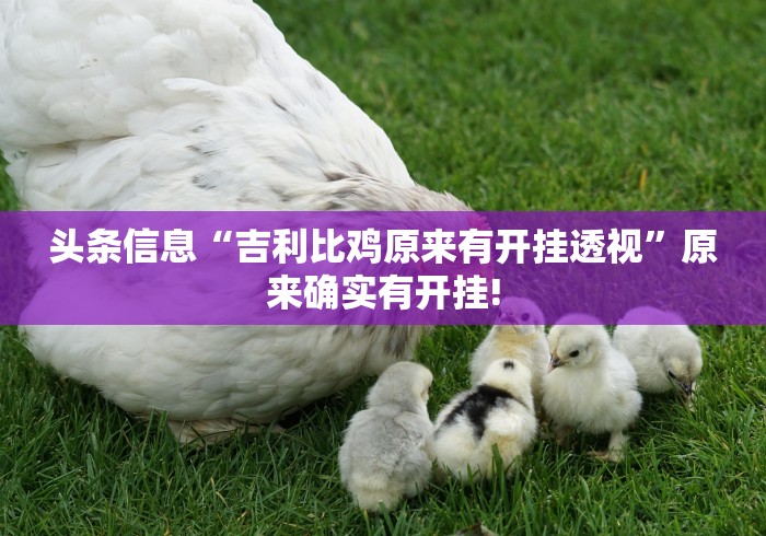 头条信息“吉利比鸡原来有开挂透视”原来确实有开挂!