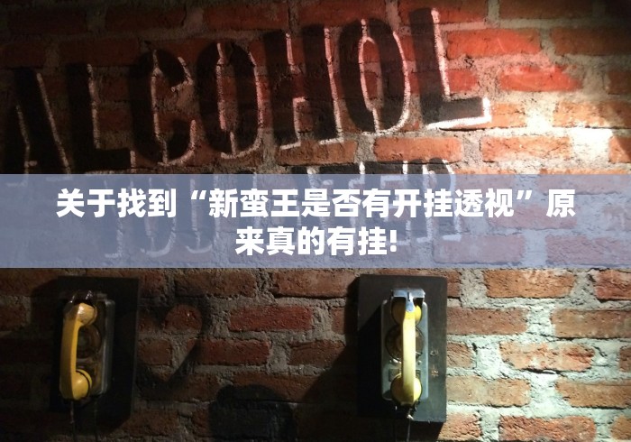 关于找到“新蛮王是否有开挂透视”原来真的有挂!