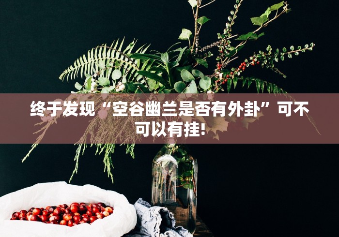 终于发现“空谷幽兰是否有外卦”可不可以有挂!