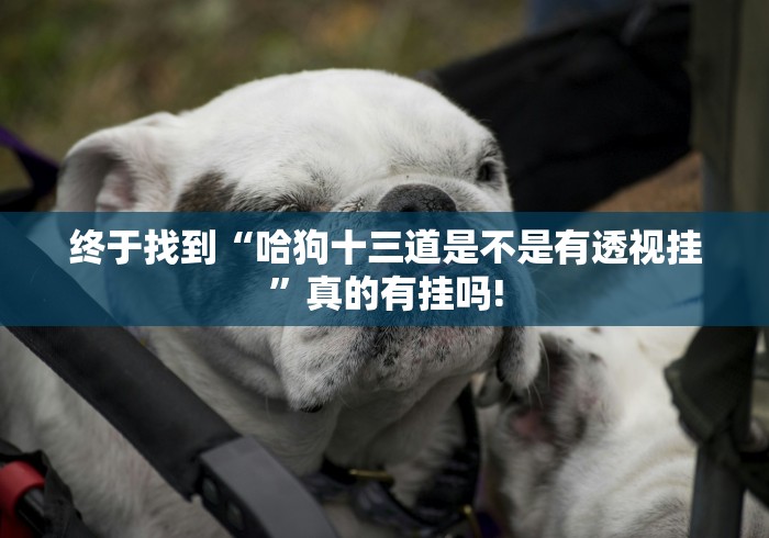 终于找到“哈狗十三道是不是有透视挂”真的有挂吗!