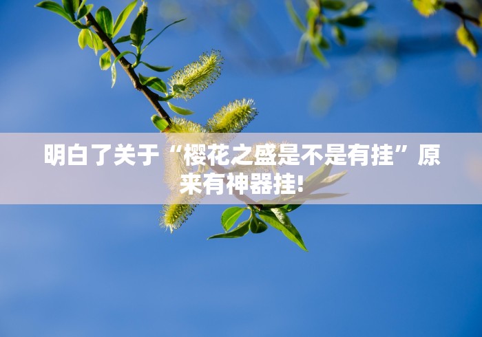 明白了关于“樱花之盛是不是有挂”原来有神器挂!