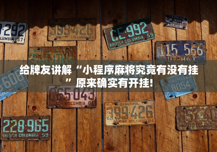 给牌友讲解“小程序麻将究竟有没有挂”原来确实有开挂!