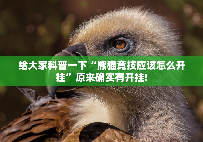 给大家科普一下“熊猫竟技应该怎么开挂”原来确实有开挂!