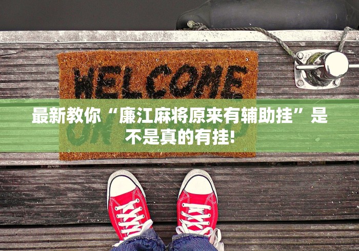 最新教你“廉江麻将原来有辅助挂”是不是真的有挂!