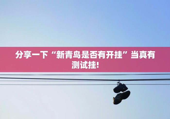分享一下“新青鸟是否有开挂”当真有测试挂!