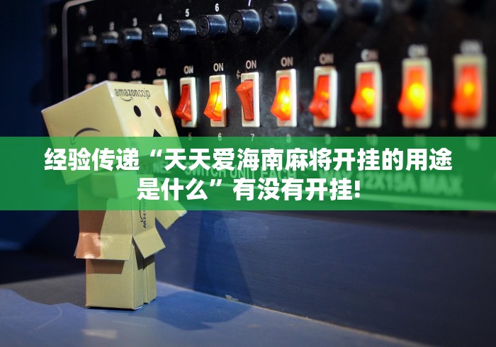 经验传递“天天爱海南麻将开挂的用途是什么”有没有开挂!