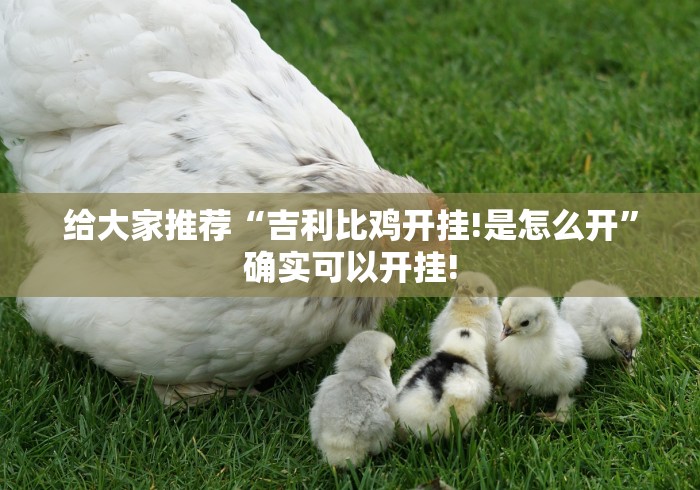 给大家推荐“吉利比鸡开挂!是怎么开”确实可以开挂!