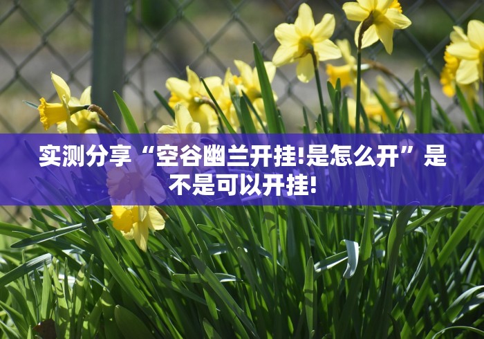 实测分享“空谷幽兰开挂!是怎么开”是不是可以开挂!