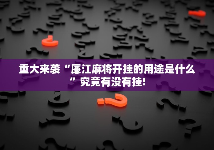 重大来袭“廉江麻将开挂的用途是什么”究竟有没有挂!