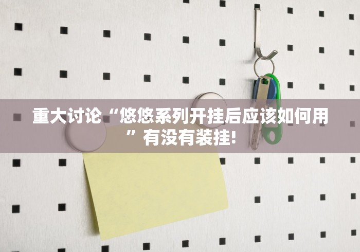 重大讨论“悠悠系列开挂后应该如何用”有没有装挂!