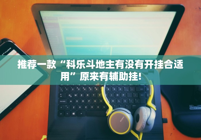 推荐一款“科乐斗地主有没有开挂合适用”原来有辅助挂!