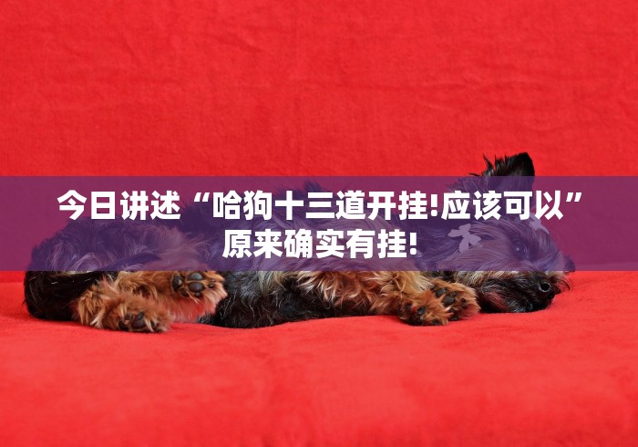 今日讲述“哈狗十三道开挂!应该可以”原来确实有挂!
