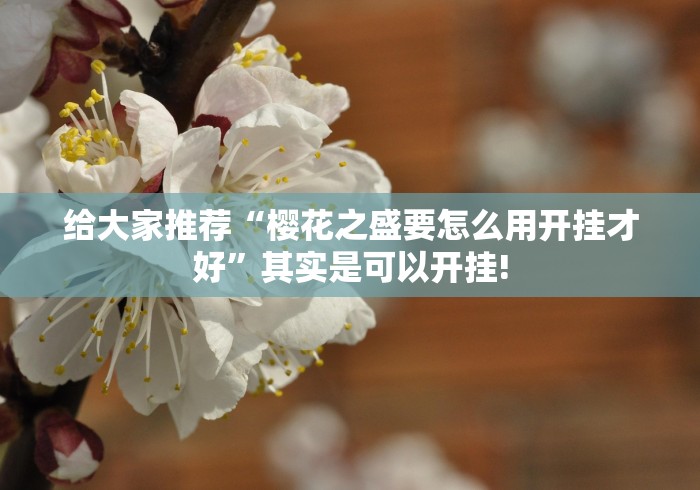 给大家推荐“樱花之盛要怎么用开挂才好”其实是可以开挂! 给大家推荐“樱花之盛要怎么用开挂才好”其实是可以开挂!