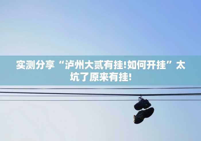 实测分享“泸州大贰有挂!如何开挂”太坑了原来有挂!