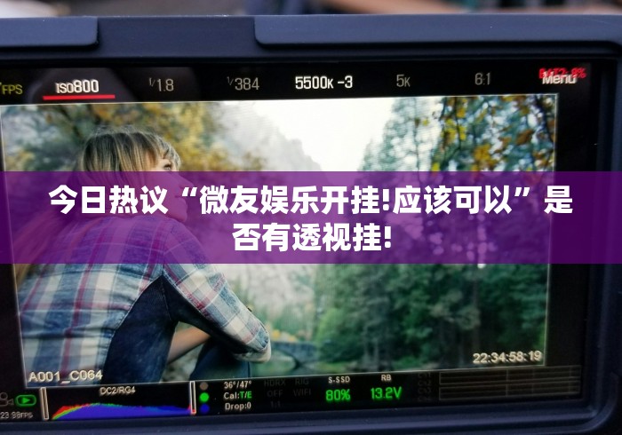 今日热议“微友娱乐开挂!应该可以”是否有透视挂!