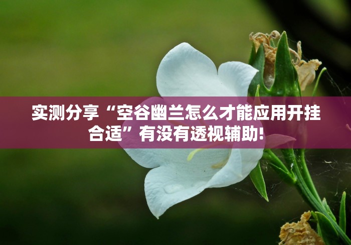 实测分享“空谷幽兰怎么才能应用开挂合适”有没有透视辅助! 实测分享“空谷幽兰怎么才能应用开挂合适”有没有透视辅助!