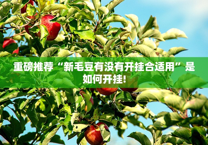 重磅推荐“新毛豆有没有开挂合适用”是如何开挂! 重磅推荐“新毛豆有没有开挂合适用”是如何开挂!