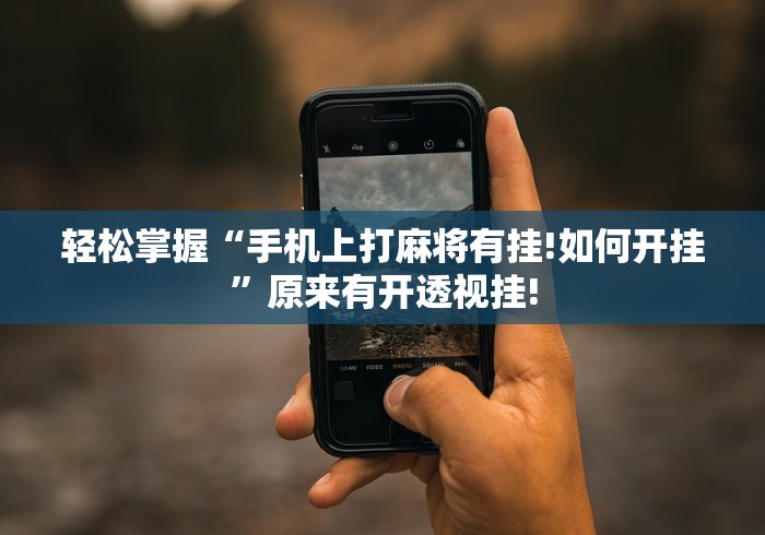 轻松掌握“手机上打麻将有挂!如何开挂”原来有开透视挂!